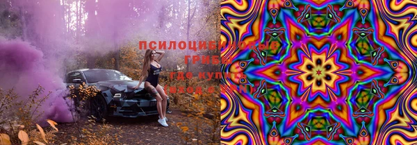 mdpv Богданович