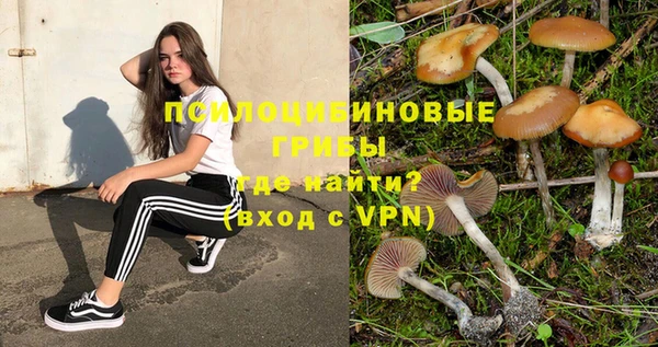 a pvp Богородск