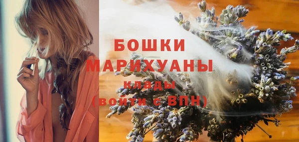 mdpv Богданович