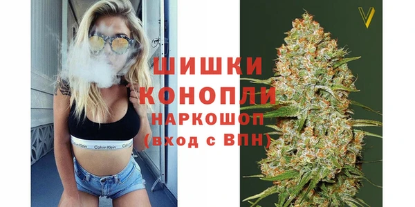 mdpv Богданович