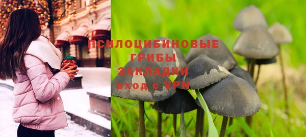 mdpv Богданович