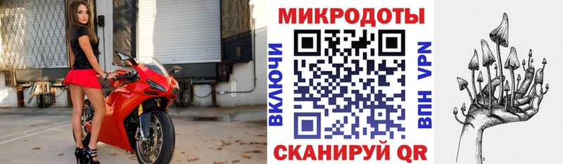 Галлюциногенные грибы Cubensis  цена   Новоржев 